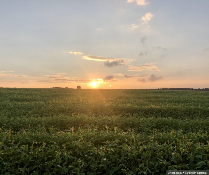 Эльфийское лето | Бэйбики Эльфийское лето — Куклы Fairyland (ФэйриЛэнд): BJD (БЖД)