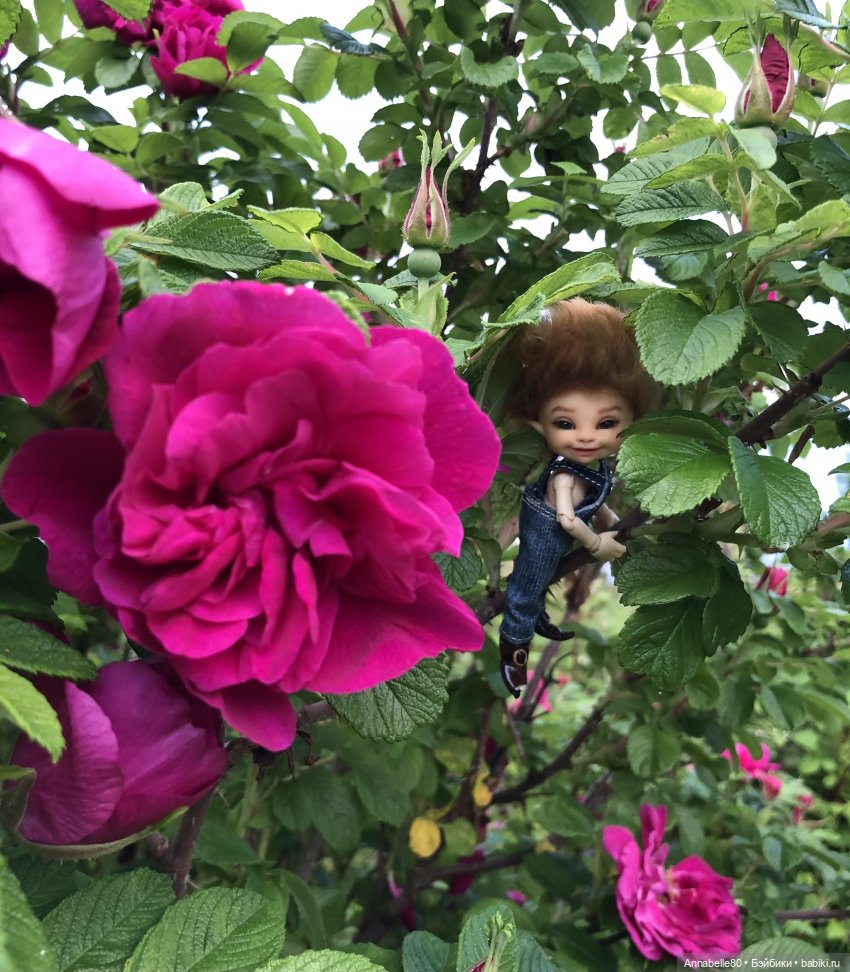 Эльфийское лето | Бэйбики Эльфийское лето — Куклы Fairyland (ФэйриЛэнд): BJD (БЖД) (фото 2)