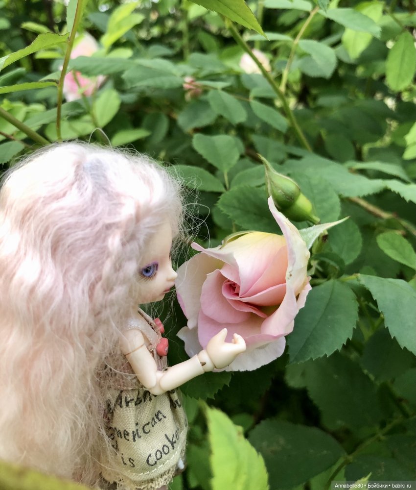Эльфийское лето | Бэйбики Эльфийское лето — Куклы Fairyland (ФэйриЛэнд): BJD (БЖД) (фото 9)