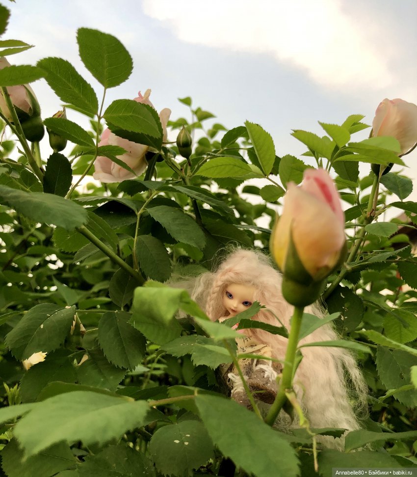 Эльфийское лето | Бэйбики Эльфийское лето — Куклы Fairyland (ФэйриЛэнд): BJD (БЖД) (фото 10)