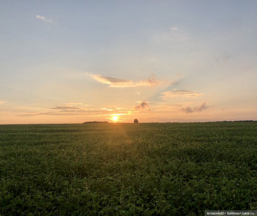 Эльфийское лето | Бэйбики Эльфийское лето — Куклы Fairyland (ФэйриЛэнд): BJD (БЖД)