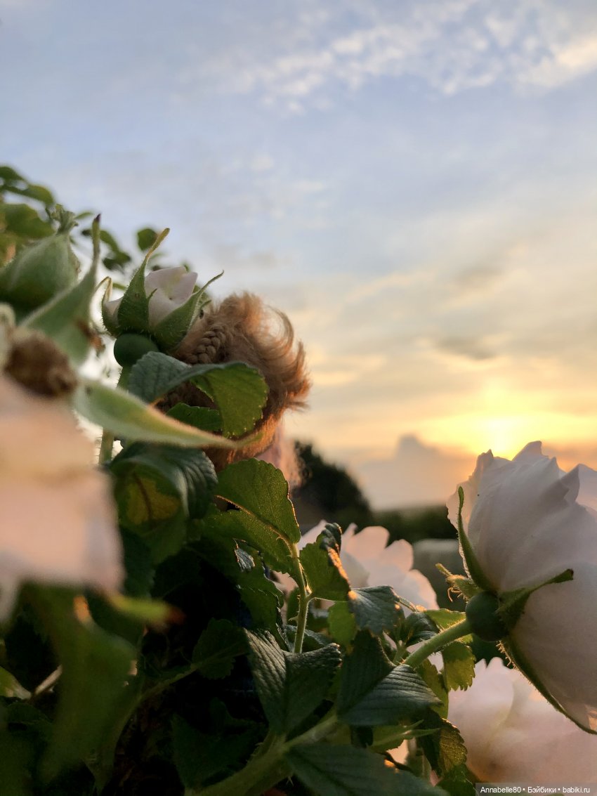 Эльфийское лето | Бэйбики Эльфийское лето — Куклы Fairyland (ФэйриЛэнд): BJD (БЖД)