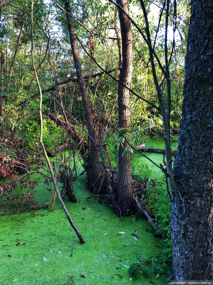 Каждый заслуживает второй шанс (фото 2)