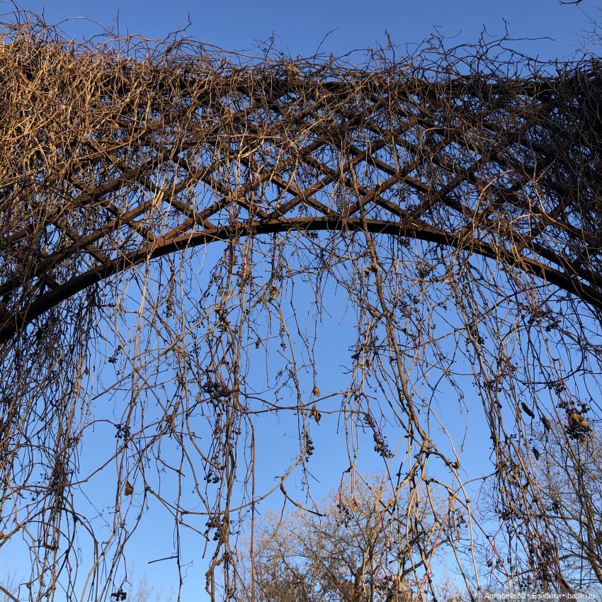 Вверх — Куклы Harry Potter (Гарри Поттер) Mattel: Wizarding World (фото 6)