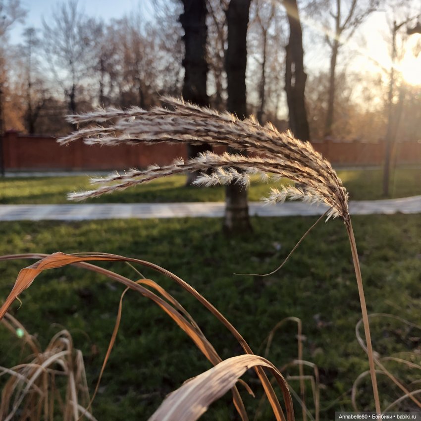 Вверх — Куклы Harry Potter (Гарри Поттер) Mattel: Wizarding World (фото 10)