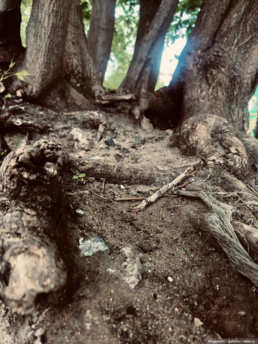 В гостях у сказки — Куклы Kelly (Келли): Сестра Барби