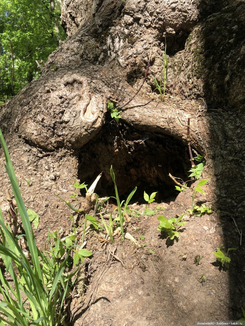 В гостях у сказки — Куклы Kelly (Келли): Сестра Барби