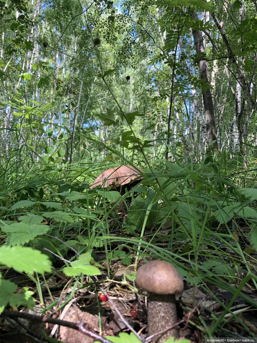 Августфест. Варвара-краса длинная коса 2 часть