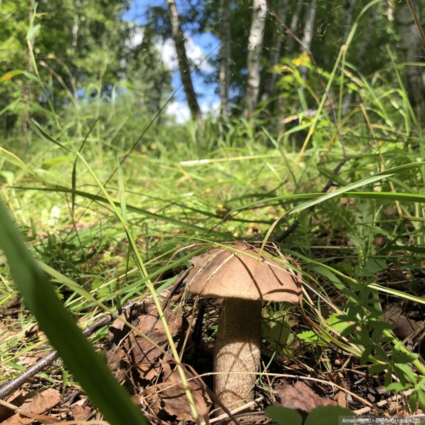 Августфест. Варвара-краса длинная коса 2 часть