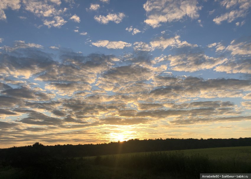 Дары феи Кренского озера — Куклы Barbie (Барби): Looks