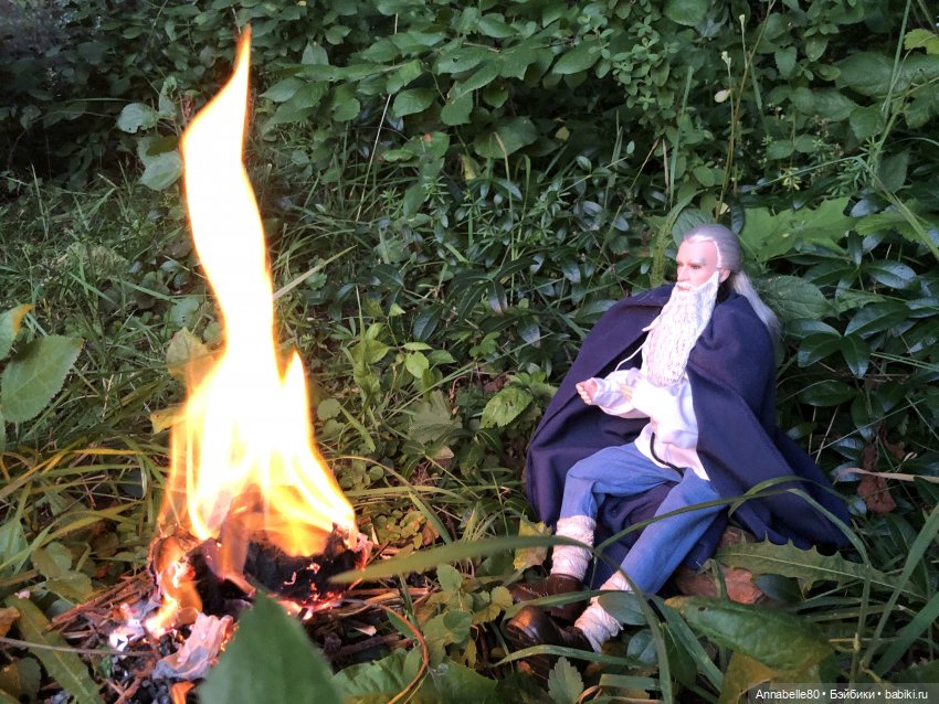 Дары феи Кренского озера — Куклы Barbie (Барби): Looks