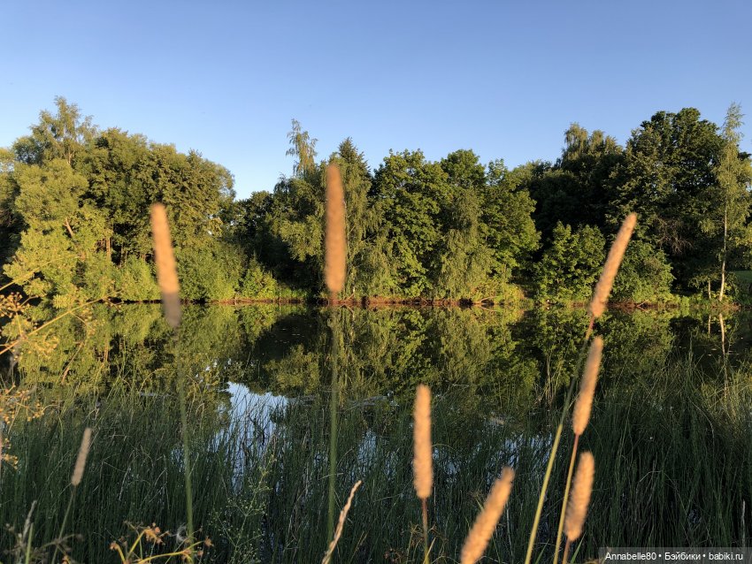 Дары феи Кренского озера — Куклы Barbie (Барби): Looks