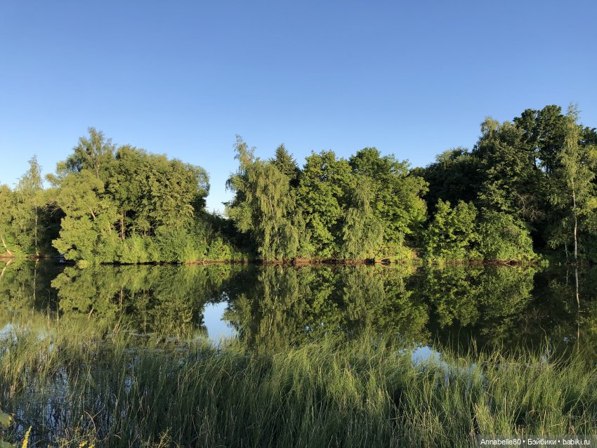 Дары феи Кренского озера — Куклы Barbie (Барби): Looks