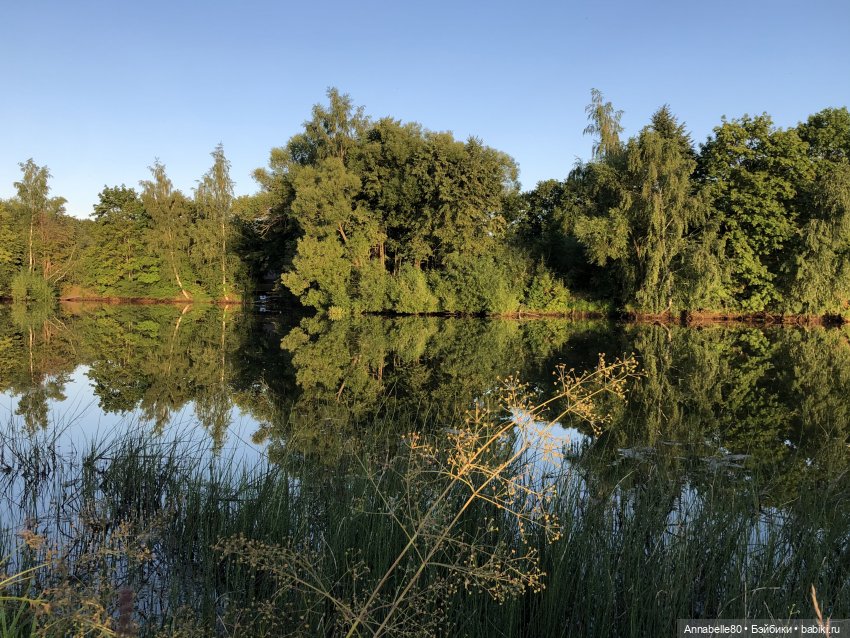 Дары феи Кренского озера — Куклы Barbie (Барби): Looks