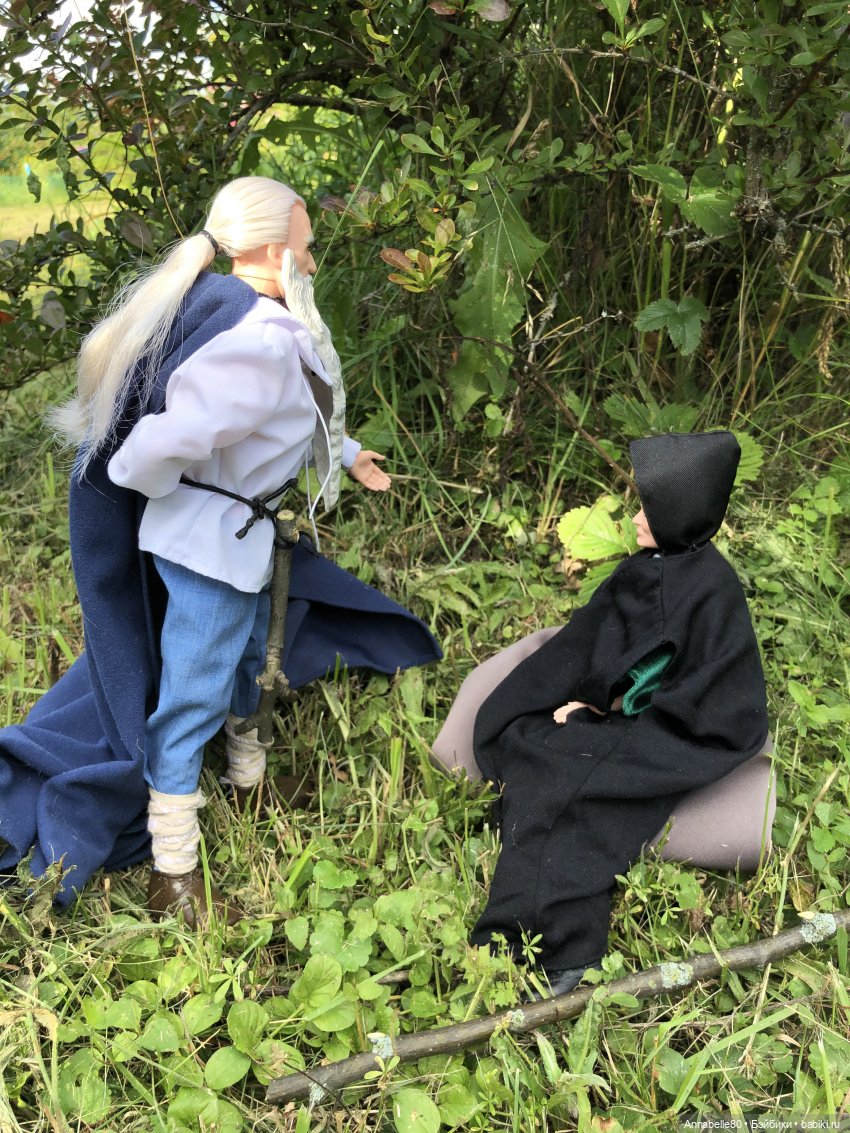 Дары феи Кренского озера — Куклы Barbie (Барби): Looks