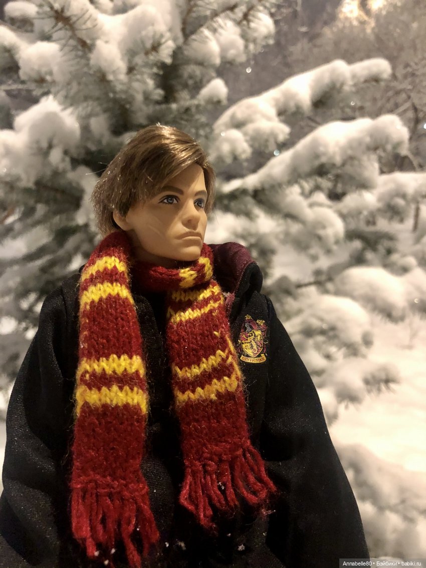 Сочельник в Хогвартсе — Куклы Barbie (Барби): Looks (фото 9)