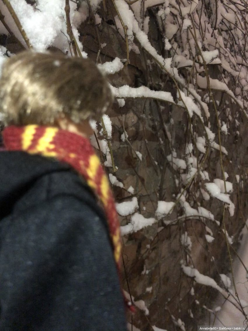 Сочельник в Хогвартсе — Куклы Barbie (Барби): Looks (фото 2)