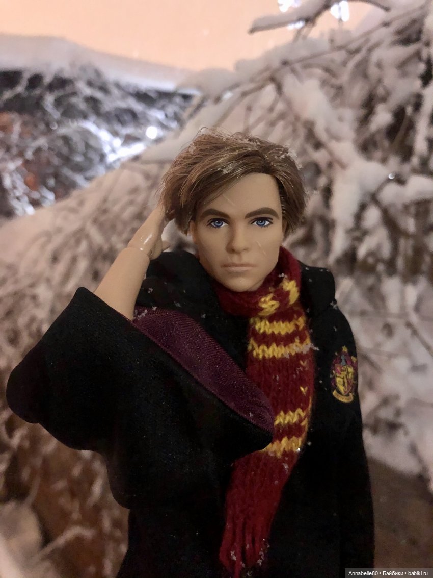 Сочельник в Хогвартсе — Куклы Barbie (Барби): Looks (фото 4)