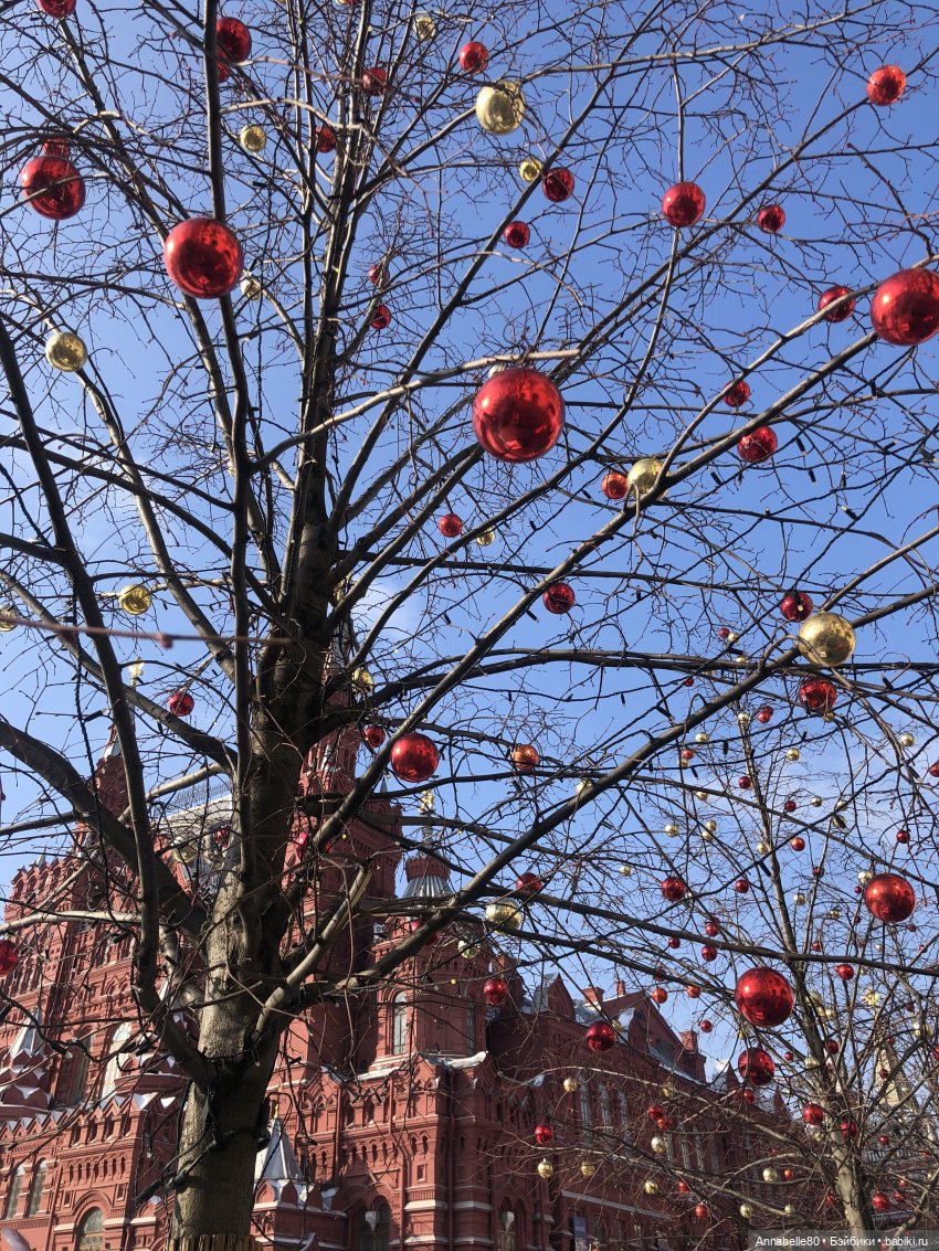 Лягух-путешественник — Фигурки Studio