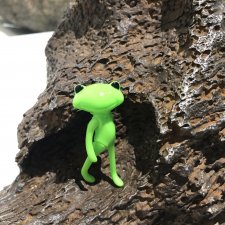 Лягух-путешественник