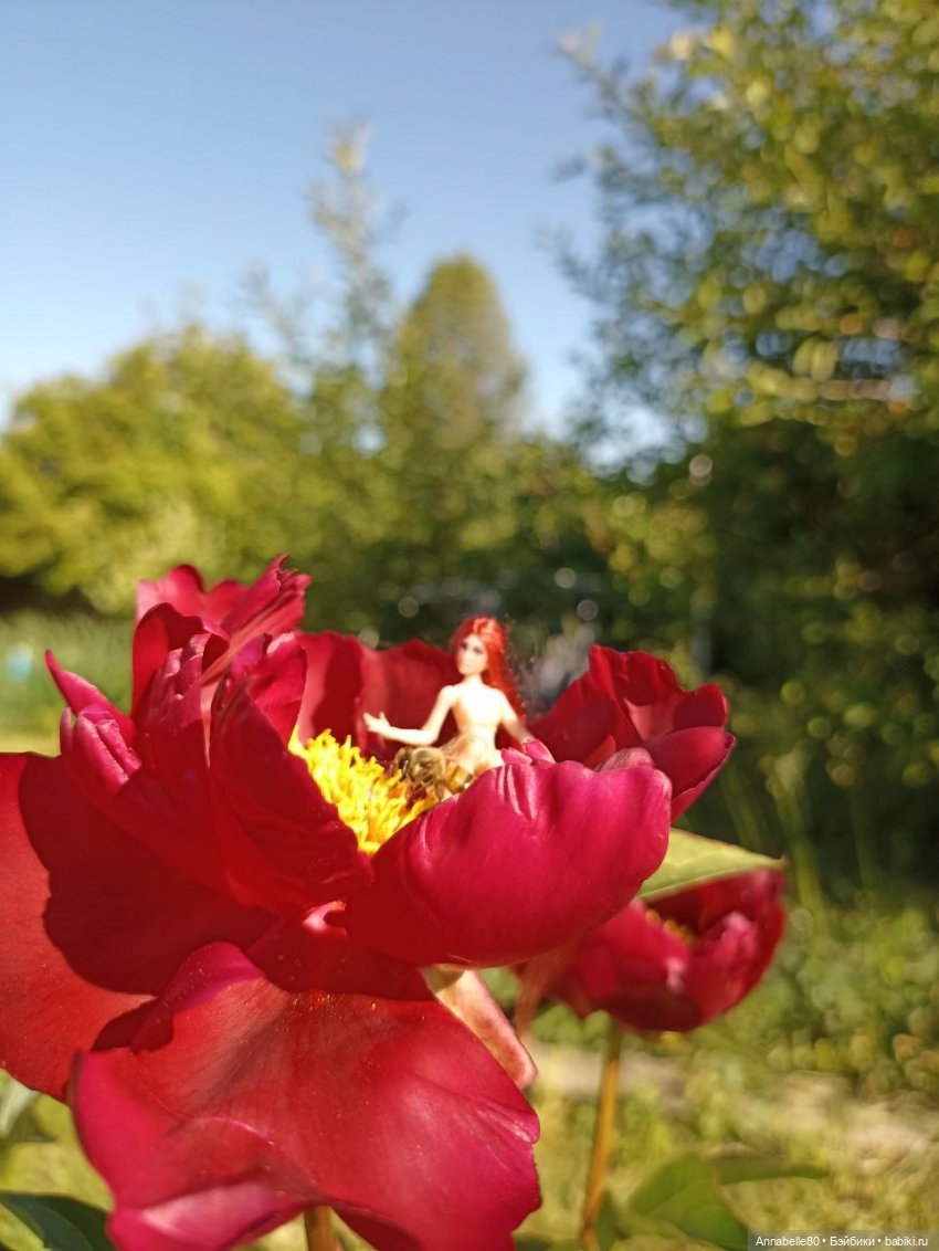 Цветочная феерия — Авторские куклы BJD (БЖД) у нас дома: фото (фото 6)