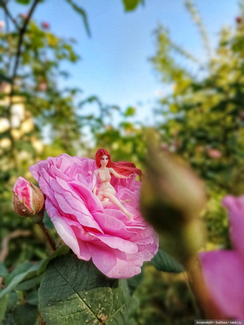 Цветочная феерия — Авторские куклы BJD (БЖД) у нас дома: фото (фото 3)