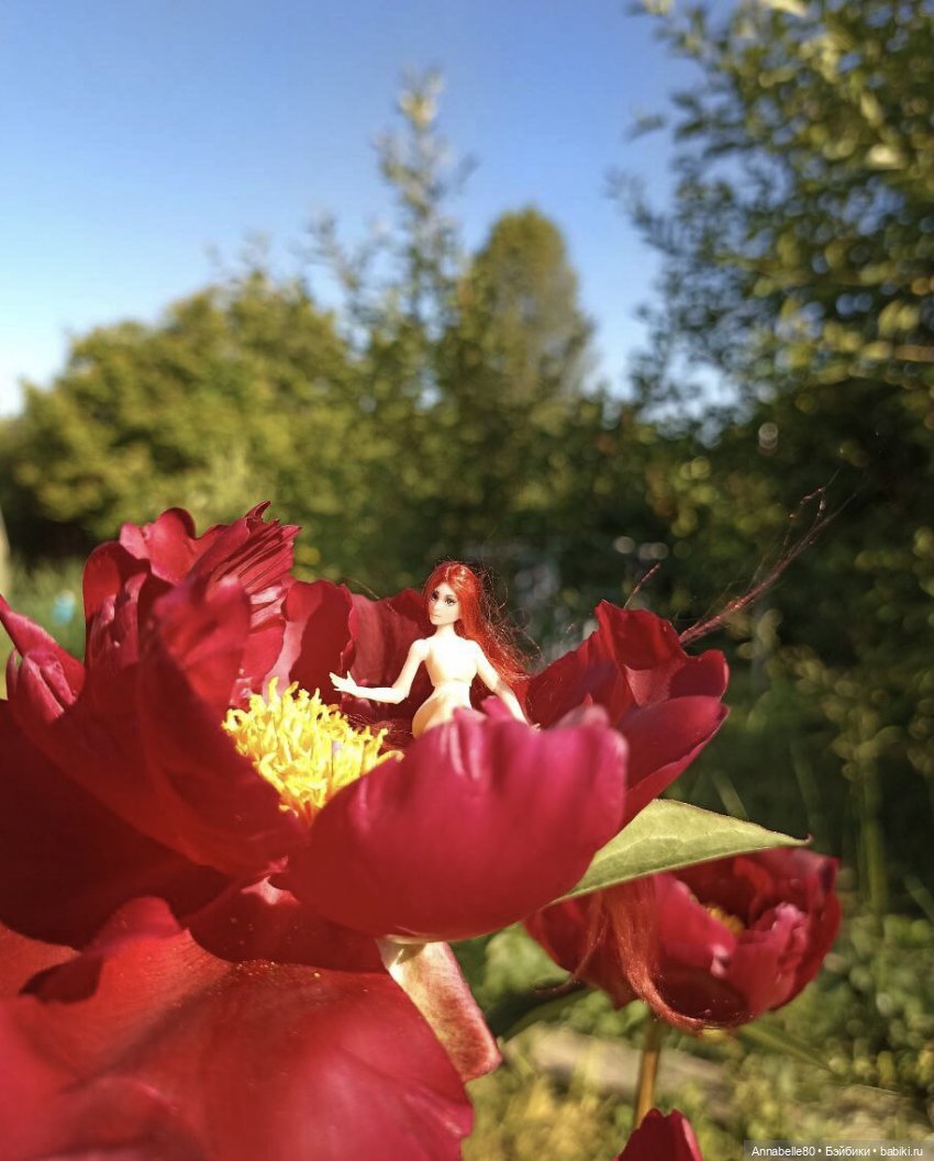 Цветочная феерия — Авторские куклы BJD (БЖД) у нас дома: фото (фото 5)