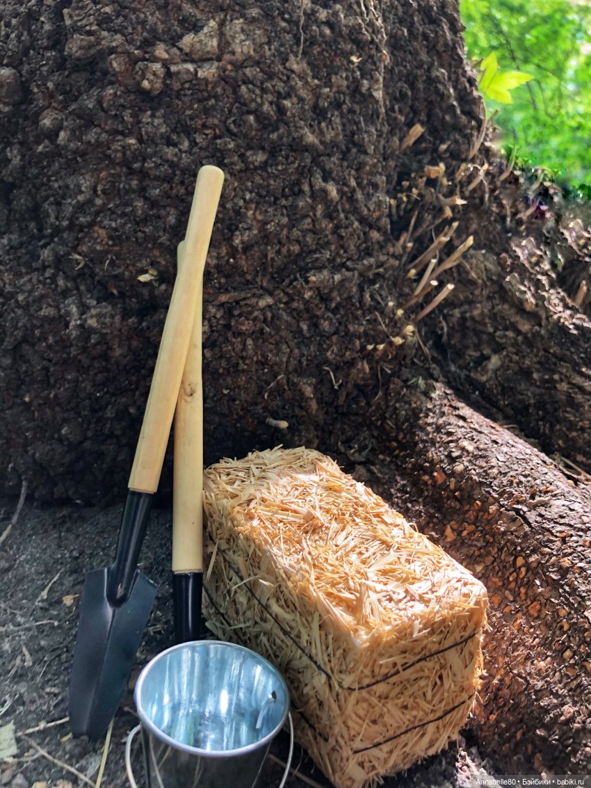 Пословицы ч. 6 — Гибриды шарнирных кукол (не БЖД): подбор тела (фото 2)