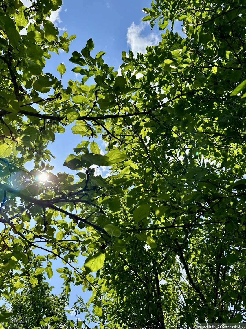 Arm Candy Chip Farnsworth III