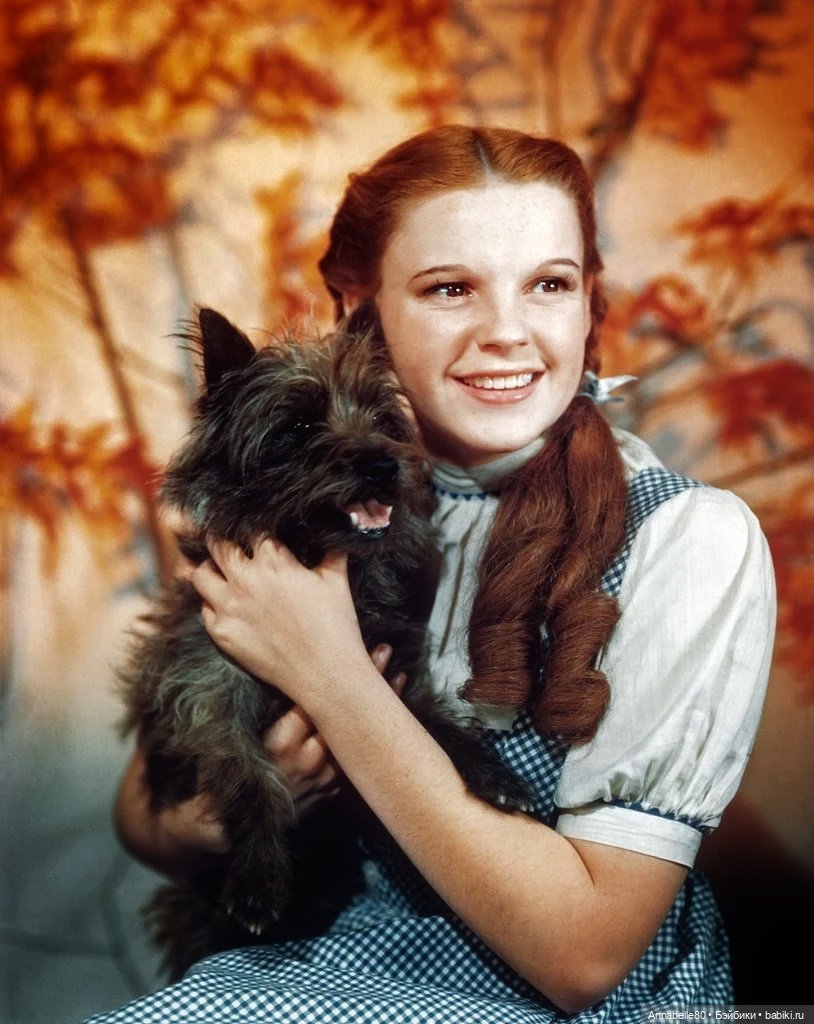 Дороти. Over the rainbow — Куклы Barbie (Барби): Looks (фото 10)