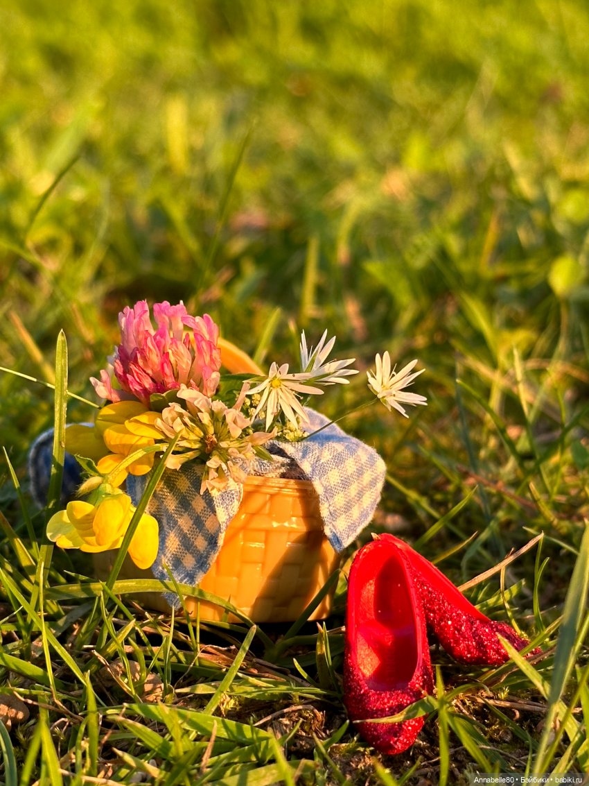 Дороти. Over the rainbow — Куклы Barbie (Барби): Looks