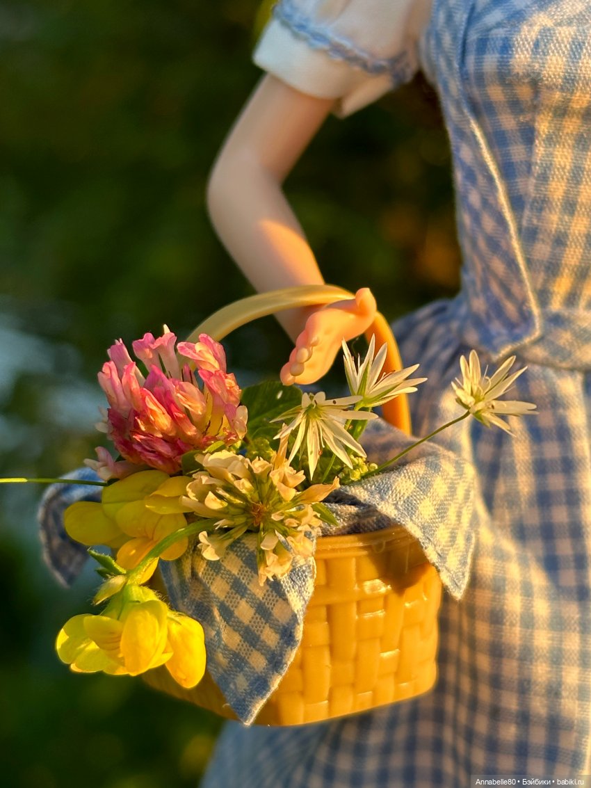 Дороти. Over the rainbow — Куклы Barbie (Барби): Looks