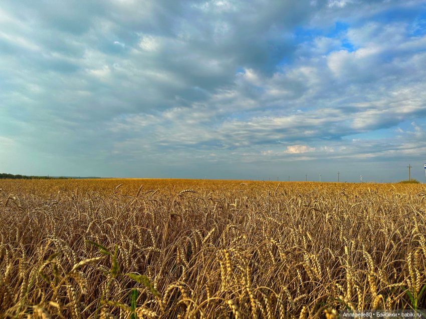 Дороти. Over the rainbow — Куклы Barbie (Барби): Looks