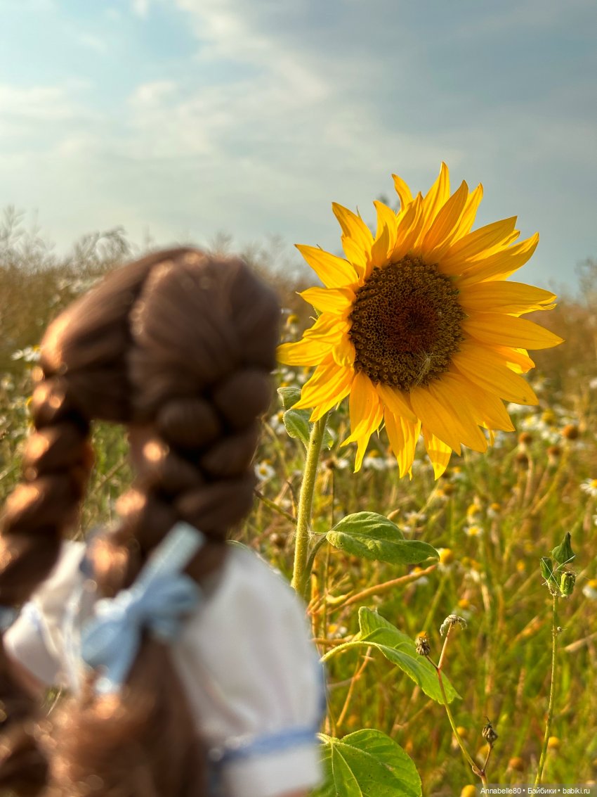 Дороти. Over the rainbow — Куклы Barbie (Барби): Looks