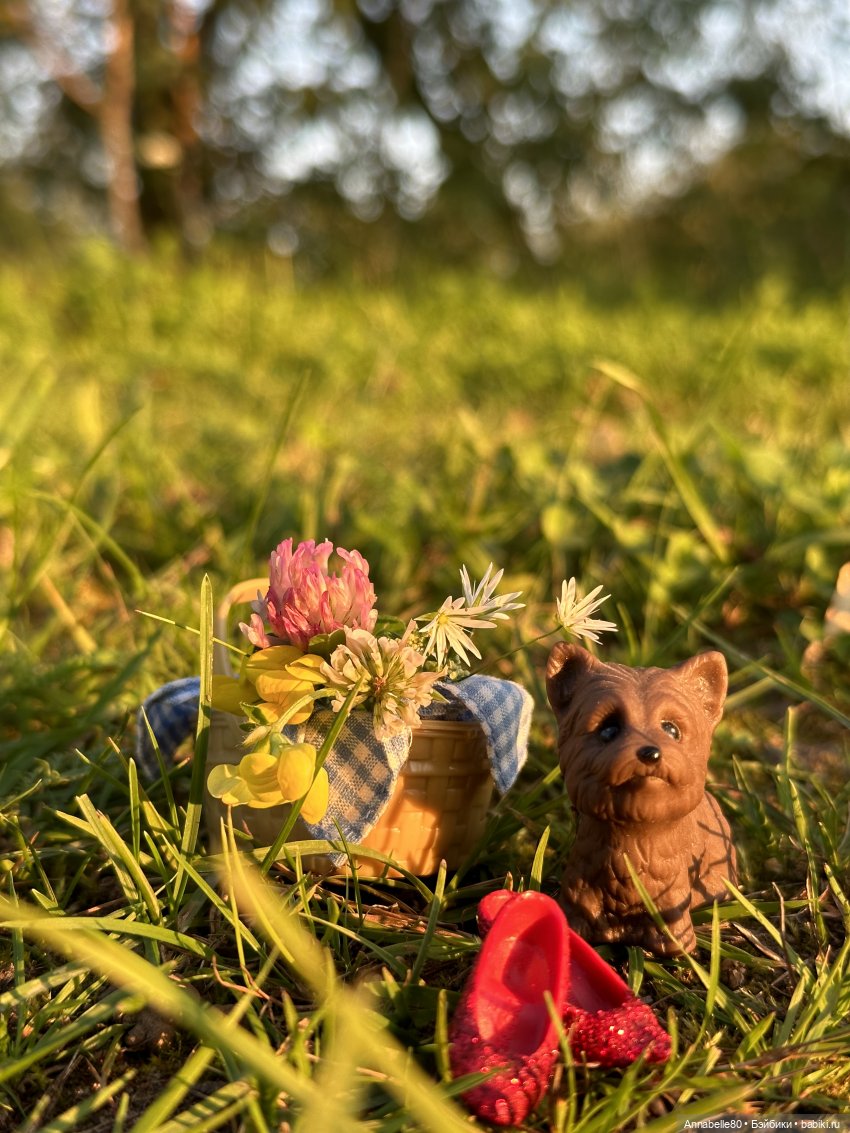 Дороти. Over the rainbow — Куклы Barbie (Барби): Looks