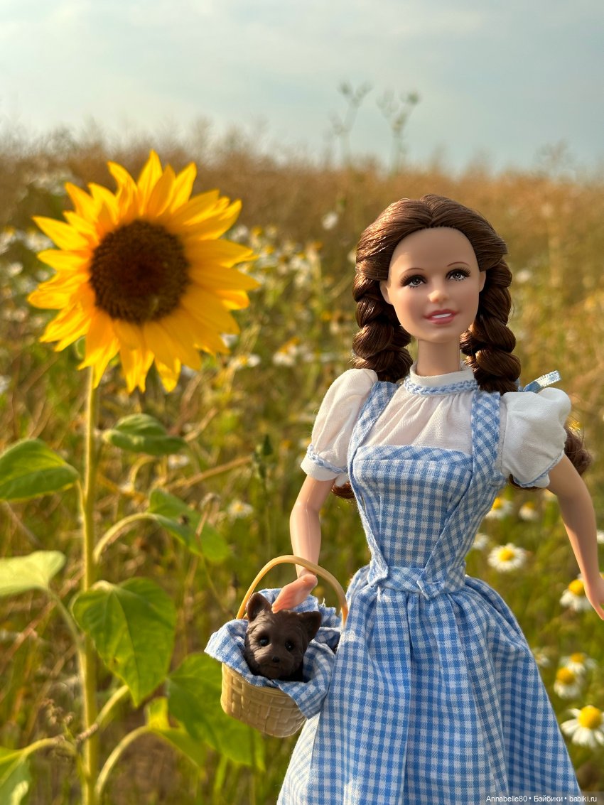 Дороти. Over the rainbow — Куклы Barbie (Барби): Looks
