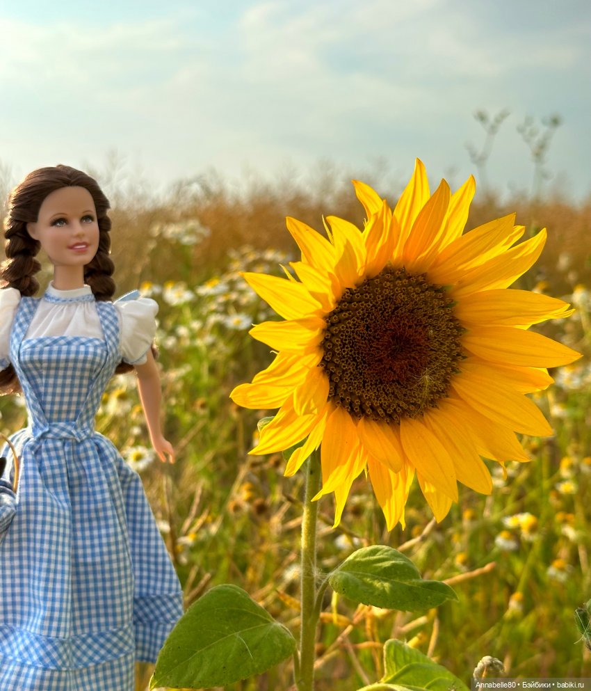 Дороти. Over the rainbow — Куклы Barbie (Барби): Looks