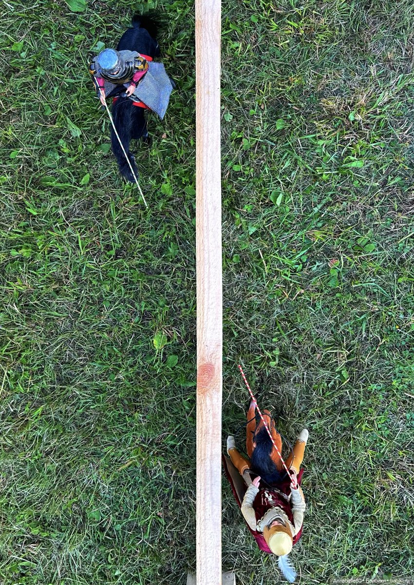 Рыцарский турнир. Напоминалка (фото 5)