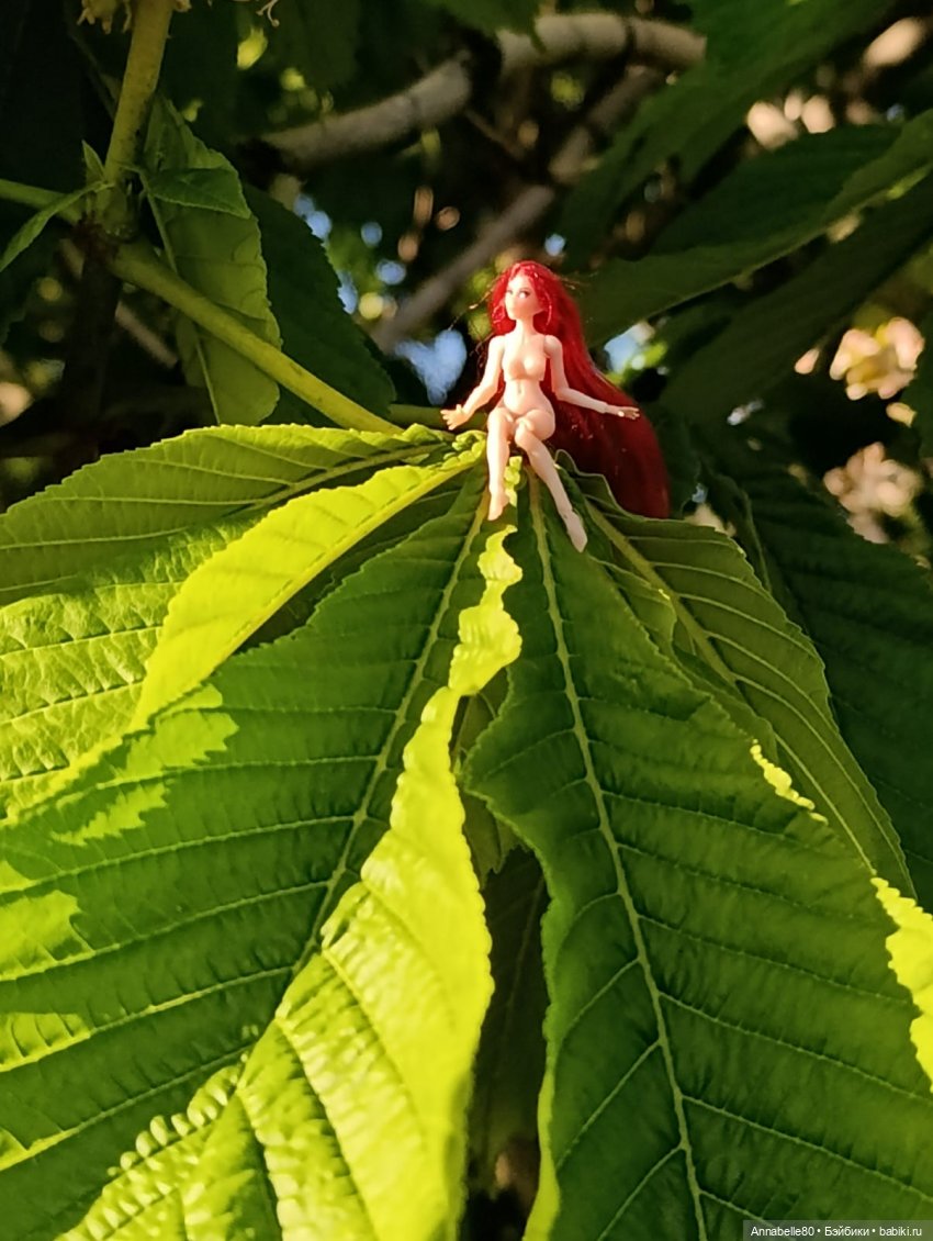 Фейско-эльфийская встреча