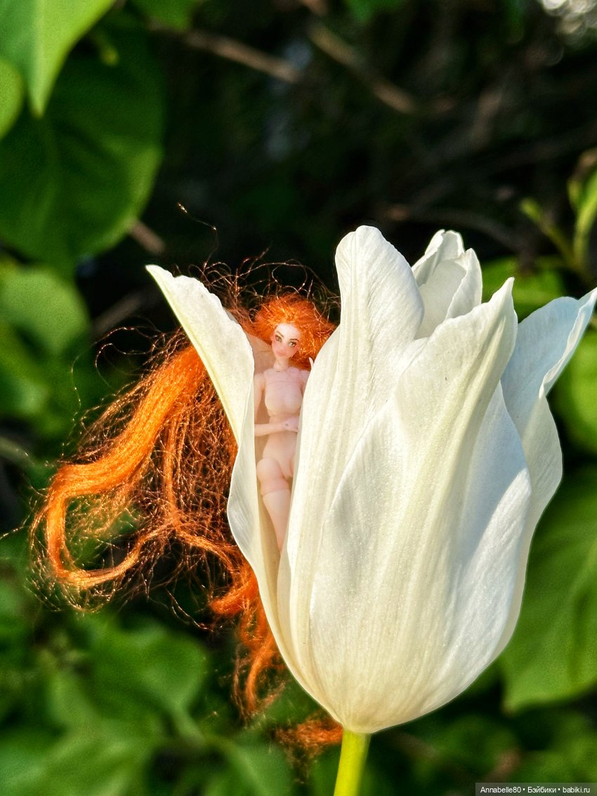 Фейско-эльфийская встреча