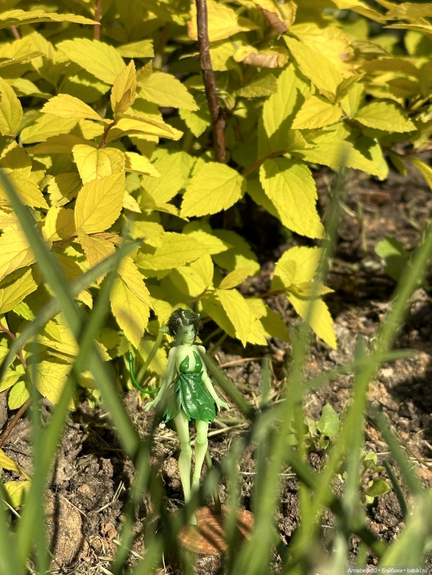 Фейско-эльфийская встреча