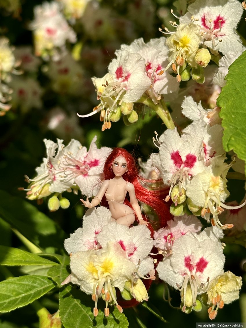 Фейско-эльфийская встреча