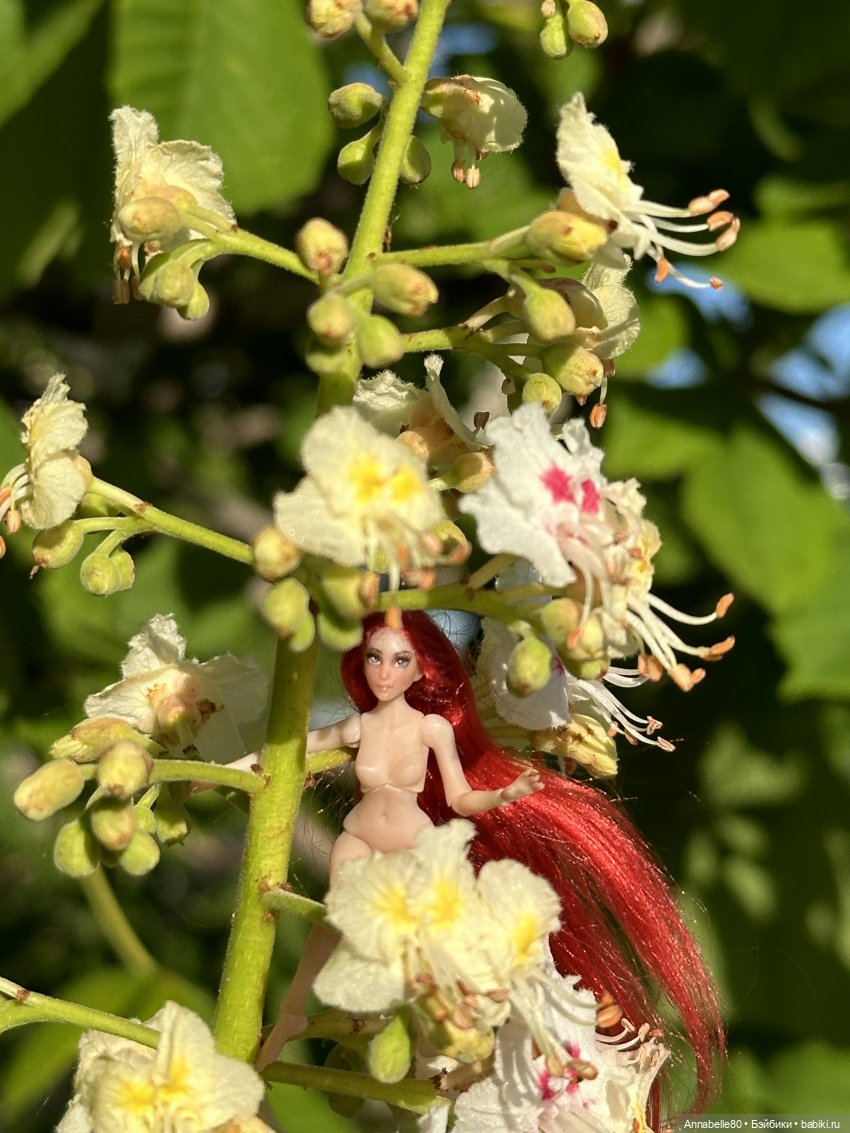 Фейско-эльфийская встреча (фото 8)