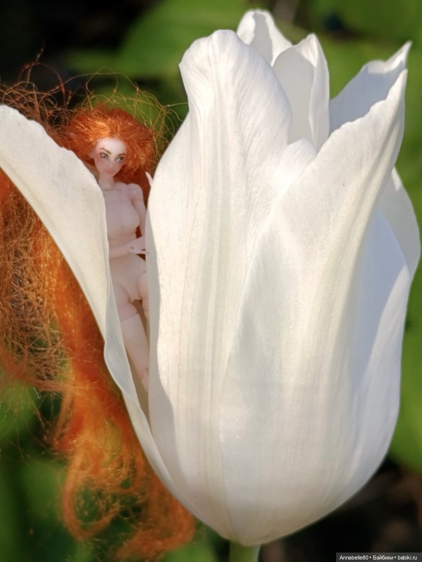 Фейско-эльфийская встреча