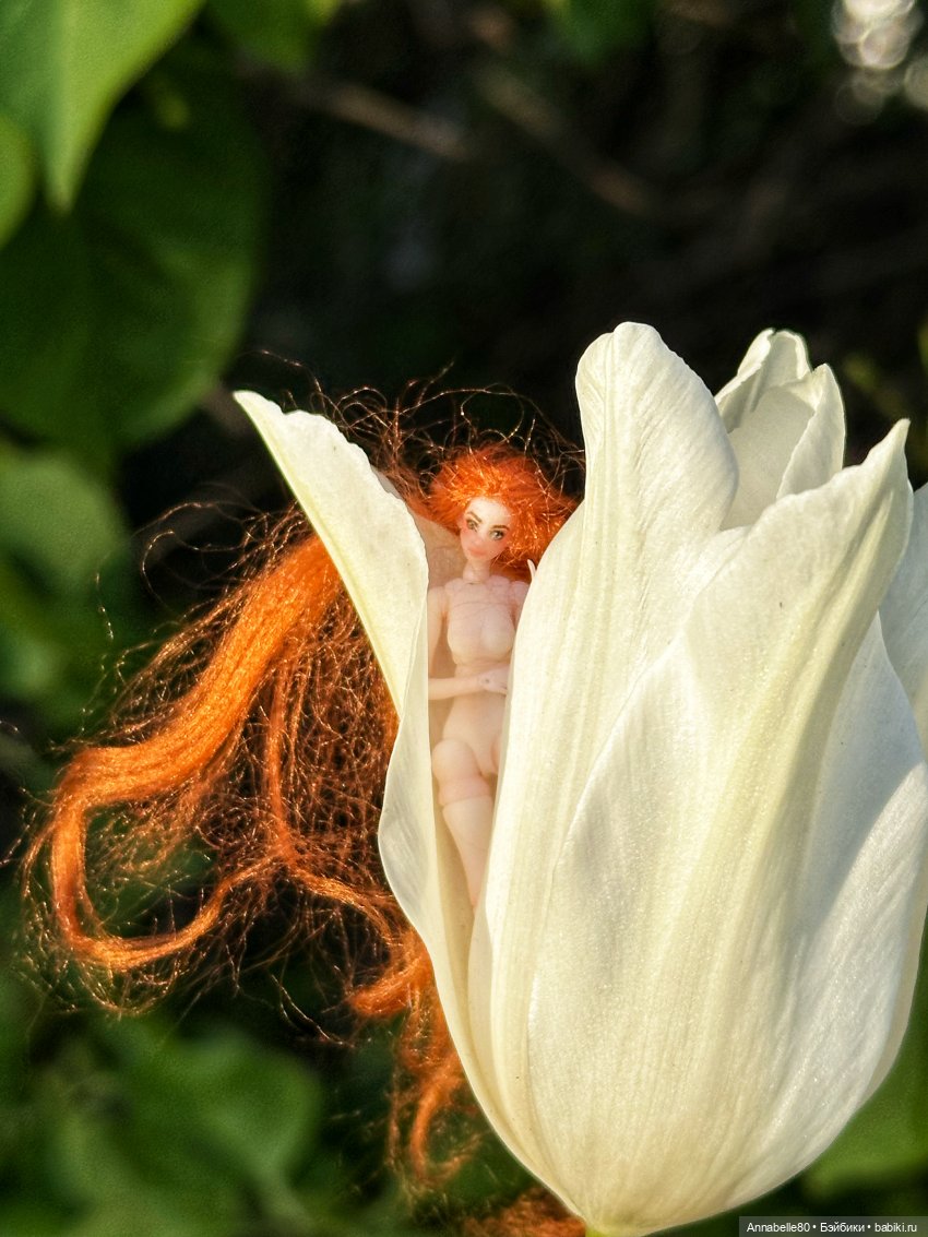 Фейско-эльфийская встреча