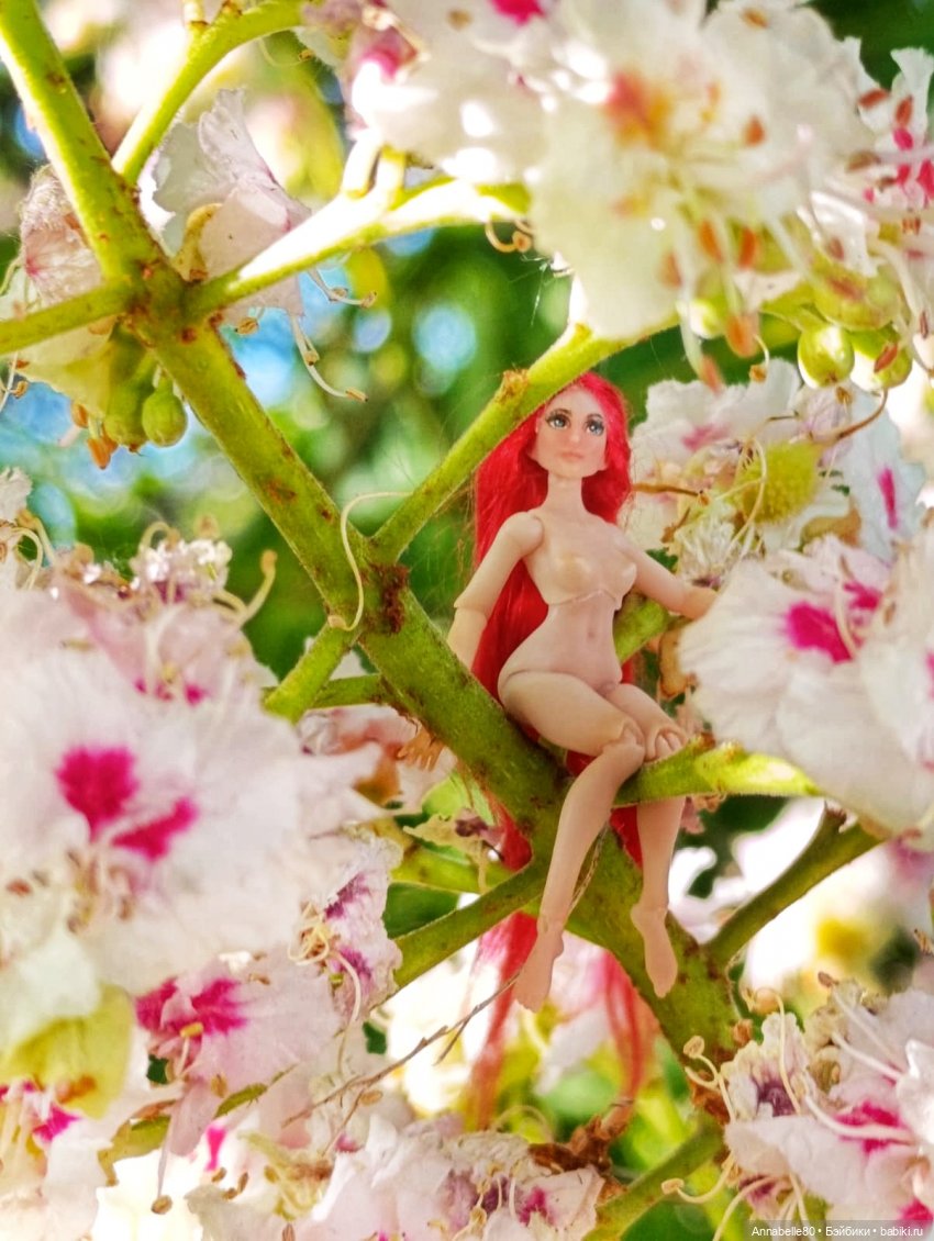 Фейско-эльфийская встреча