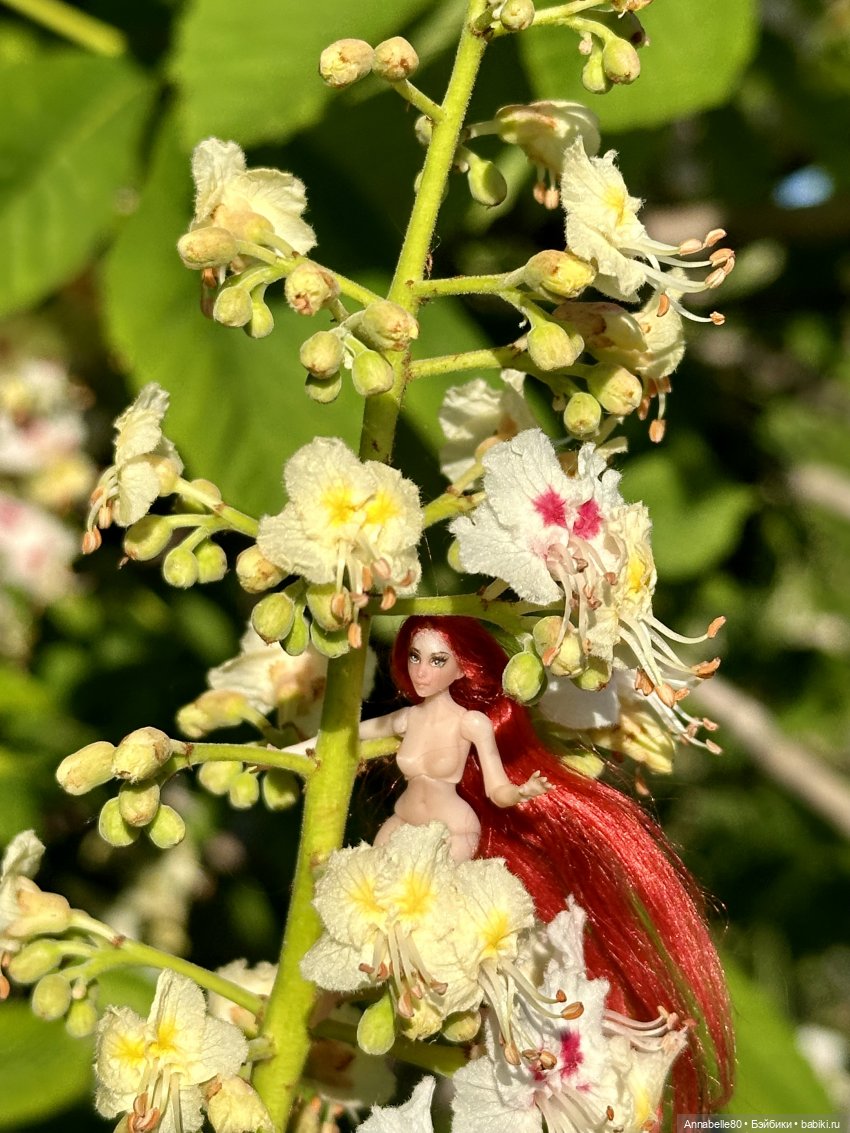 Фейско-эльфийская встреча (фото 9)