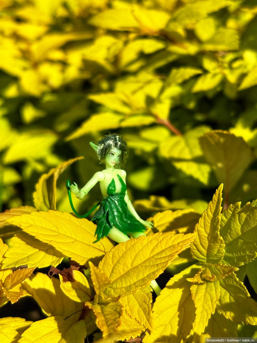 Фейско-эльфийская встреча (фото 3)