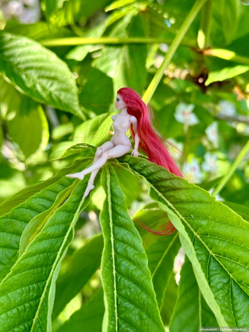 Фейско-эльфийская встреча (фото 5)