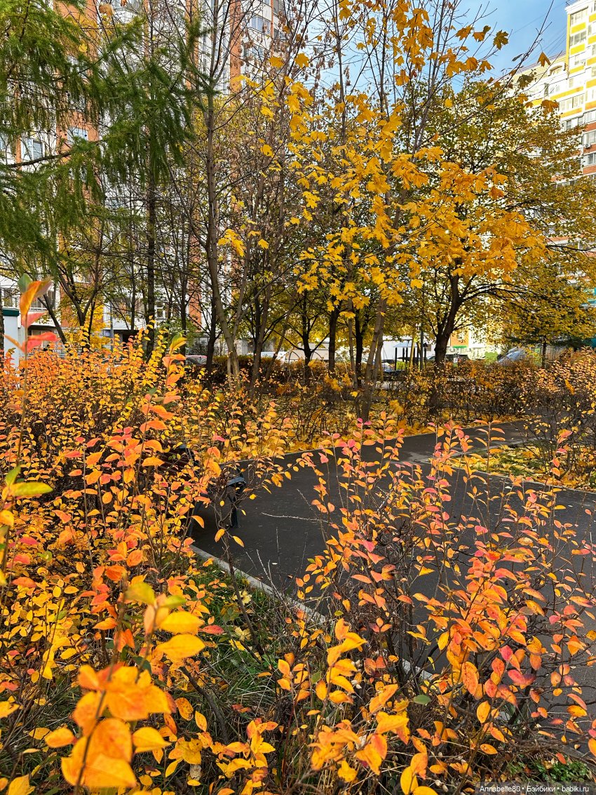 Где-то далеко летят поезда…